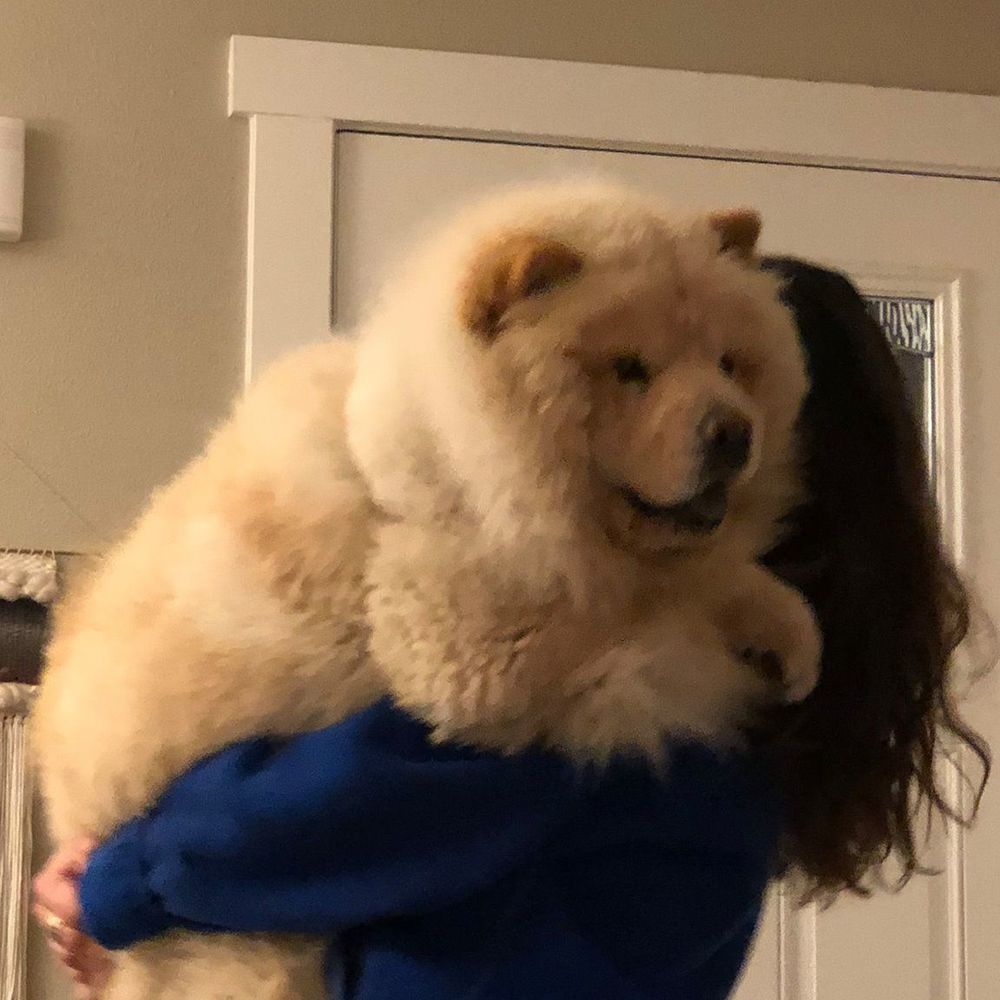 Meet your Posher, Madeleine